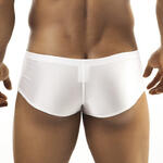 Cheek Boxer Shining