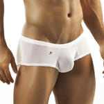 Cheek Boxer Shining