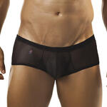 Cheek Boxer Shining