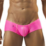 Cheek Boxer Shining