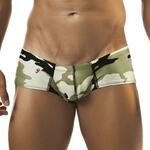 Cheek Boxer Shining