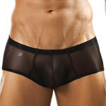 Boxer Bulge