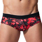 Slip de bain Colibri