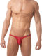 Slip homme Boytoy Gregg