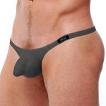 String Torrid