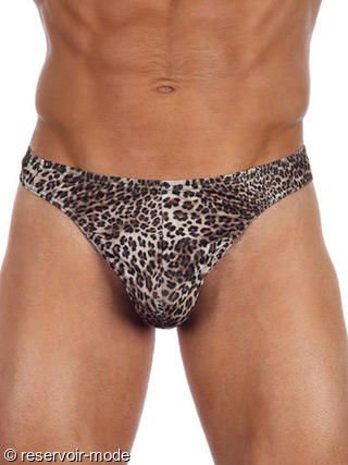 String homme Serengeti Gregg