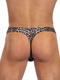 String homme Serengeti Gregg