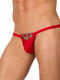 String homme Xcess Gregg