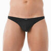 GREGG_HOMME - Ref.96104 - String Wonder Gregg