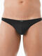 String homme Wonder Gregg