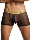Boxer Desire