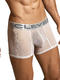 Boxer Desire Clever