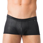 Boxer VENOM de Gregg Homme