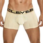 Boxer Desert Clever