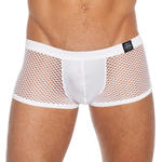 Boxer NoDoubt de Gregg Homme