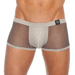 Boxer NoDoubt de Gregg Homme