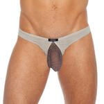 String NoDoubt de Gregg Homme