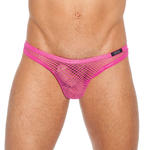 String NoDoubt de Gregg Homme