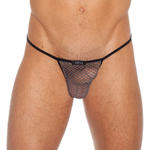 String ficelle NoDoubt de Gregg Homme