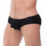 Shorty Torrid