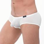 Shorty Torrid