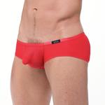 Shorty Torrid