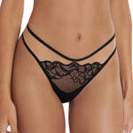 Brésilien échancré Dione