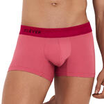 CLEVER - Ref.1235CL0 - Boxer Fervor Clever