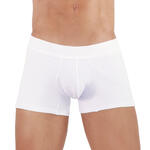 CLEVER - Ref.1471CL0 - Boxer Heavenly Clever