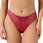 Brésilien échancré Ocean